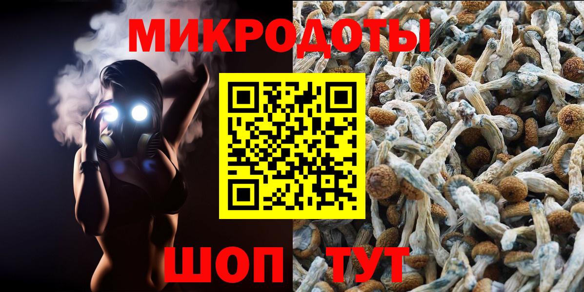 Галлюциногенные грибы ЛСД Якутск